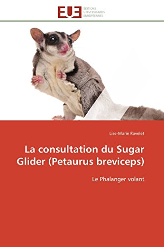 La Consultation Du Sugar Glider (petaurus Breviceps) Le Phalanger Volant (frenc [Paperback]