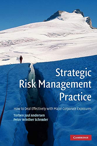 Strategic Risk Management Practice How to Deal Effectively with Major Corporate [Hardcover]
