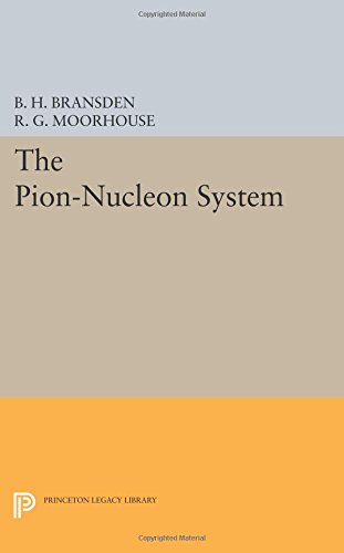 The Pion-Nucleon System [Paperback]