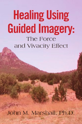 Healing Using Guided Imagery  The Force and Vivacity Effect [Paperback]