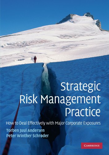 Strategic Risk Management Practice How to Deal Effectively with Major Corporate [Paperback]