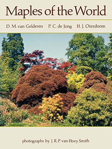 Maples Of The World [Paperback]