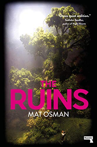 The Ruins [Paperback]