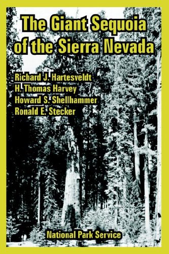 Giant Sequoia Of The Sierra Nevada, The [Paperback]