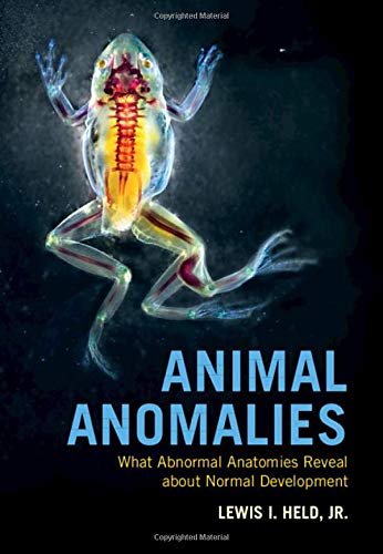 Animal Anomalies What Abnormal Anatomies Reveal about Normal Development [Hardcover]