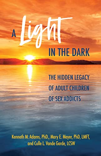 A  Light in the Dark The Hidden Legacy of Adult Children of Sex Addicts [Paperback]