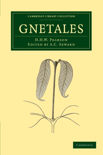 Gnetales [Paperback]