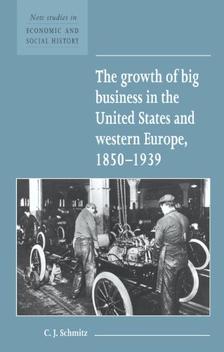 The Growth of Big Business in the United States and Western Europe, 18501939 [Paperback]