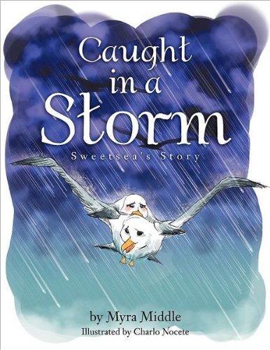 Caught in a Storm  Sweetsea's Story [Paperback]