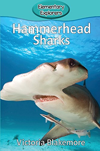 Hammerhead Sharks (elementary Explorers) [Paperback]