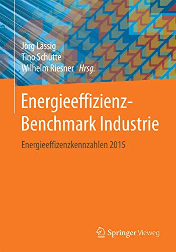 Energieeffizienz-Benchmark Industrie Energieeffizienzkennzahlen 2015 [Paperback]