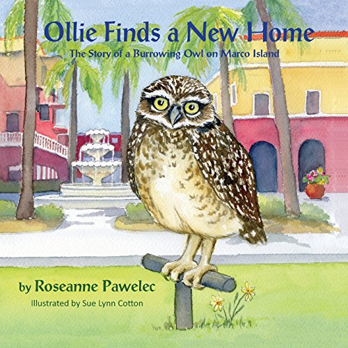 Ollie Finds A New Home, The Story Of A Burrowing Owl On Marco Island [Paperback]