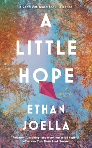 A Little Hope A Novel [Paperback]