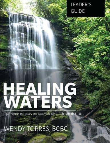 Healing Waters Leader's Guide [Paperback]