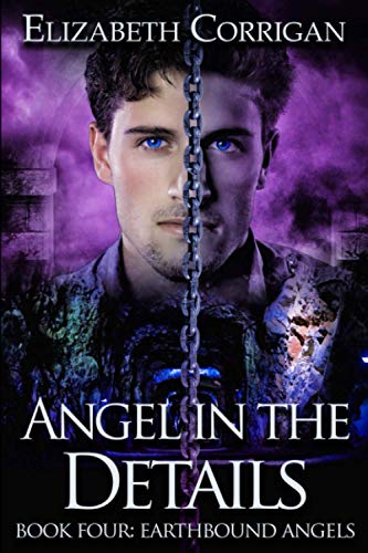 Angel in the Details  Earthbound Angels 4 [Paperback]
