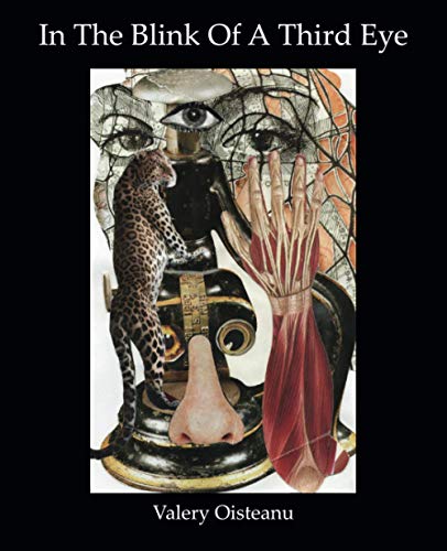 In the Blink of a Third Eye  Poetry, Flash-Fiction, Drawing-Collages [Paperback]