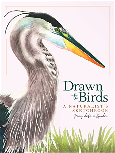 Drawn to Birds A Naturalist's Sketchbook [Hardcover]