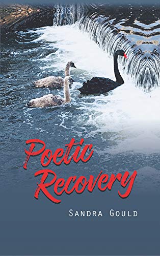 Poetic Recovery [Hardcover]