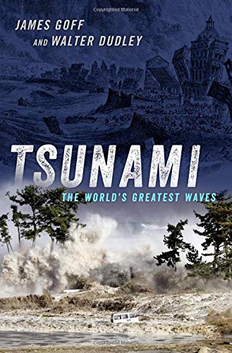 Tsunami The World's Greatest Waves [Hardcover]