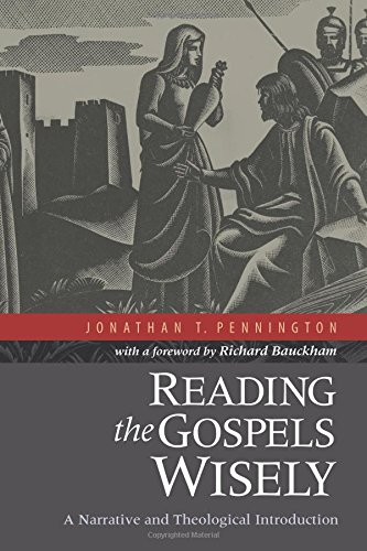 Reading The Gospels Wisely A Narrative And Theological Introduction [Paperback]