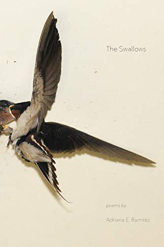The Swallows [Paperback]
