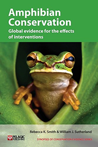 Amphibian Conservation Global evidence for the effects of interventions [Paperback]