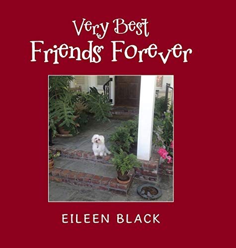 Very Best Friends Forever [Hardcover]