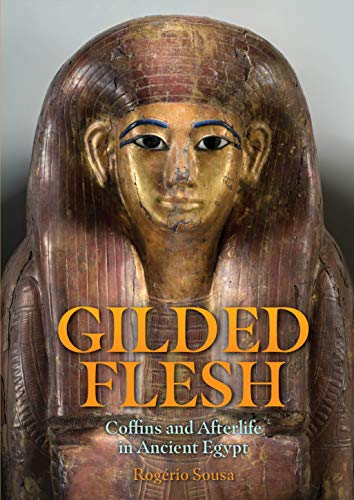 Gilded Flesh Coffins and Afterlife in Ancient Egypt [Hardcover]