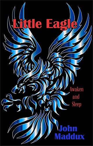 Little Eagle Awaken and Sleep [Paperback]