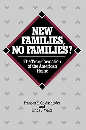 New Families, No Families The Transformation of the American Home [Paperback]