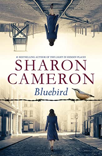 Bluebird [Paperback]