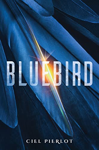 Bluebird [Paperback]