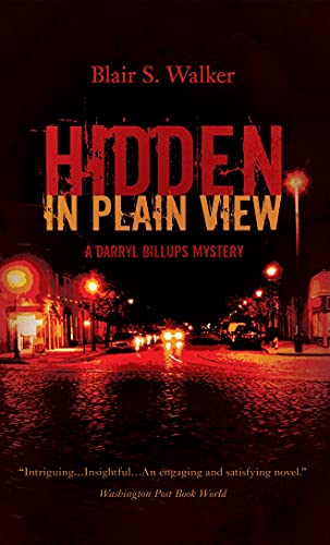 Hidden in Plain View [Paperback]