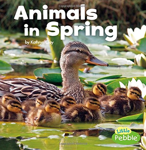 Animals In Spring (celebrate Spring) [Paperback]
