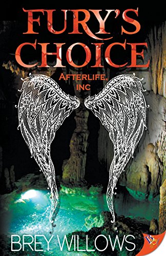 Fury's Choice [Paperback]