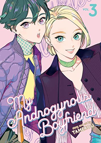 My Androgynous Boyfriend Vol. 3 [Paperback]