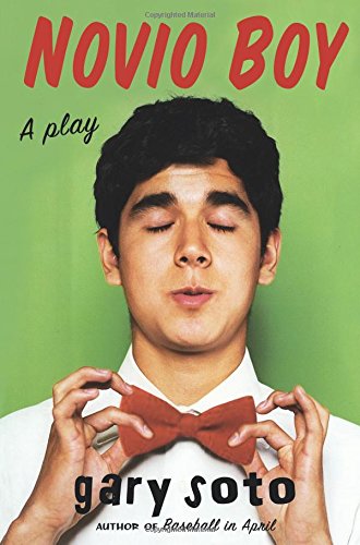 Novio Boy A Play [Paperback]