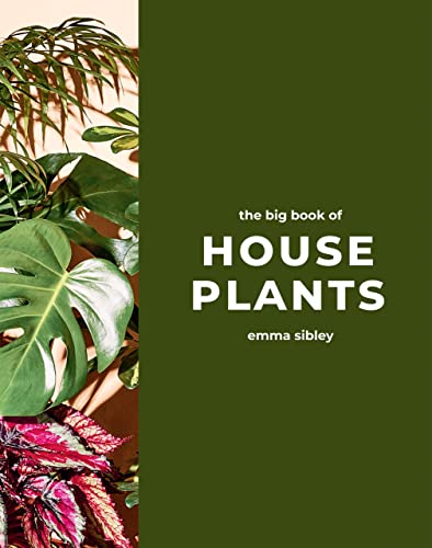 The Big Book of House Plants [Hardcover]