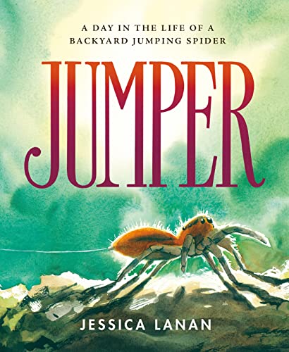 Jumper A Day in the Life of a Backyard Jumping Spider [Hardcover]