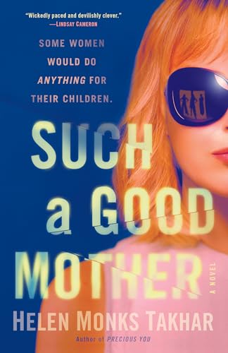 Such a Good Mother A Novel [Paperback]