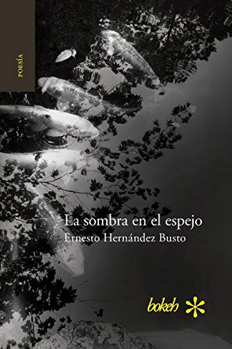 La Sombra En El Espejo. Versiones Japonesas (spanish Edition) [Paperback]
