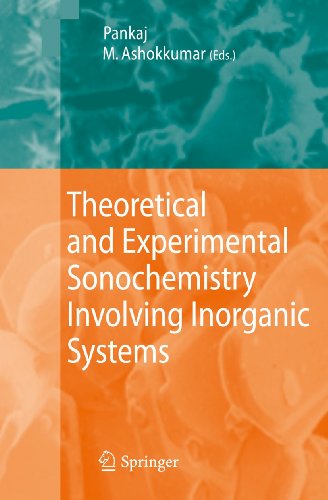 Theoretical and Experimental Sonochemistry Involving Inorganic Systems [Hardcover]