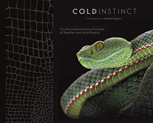 Matthijs Kuijpers Cold Instinct [Hardcover]