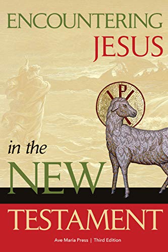Encountering Jesus in the New Testament [Paperback]