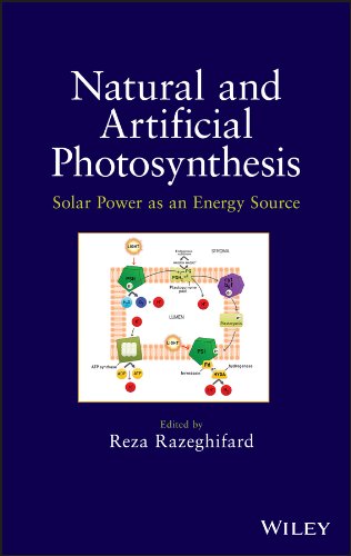Natural and Artificial Photosynthesis Solar Power as an Energy Source [Hardcover]