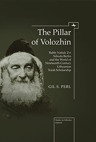 The Pillar of Volozhin Rabbi Naftali Zvi Yehuda Berlin and the World of Ninetee [Paperback]