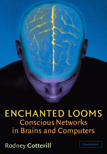 Enchanted Looms Conscious Networks in Brains and Computers [Paperback]