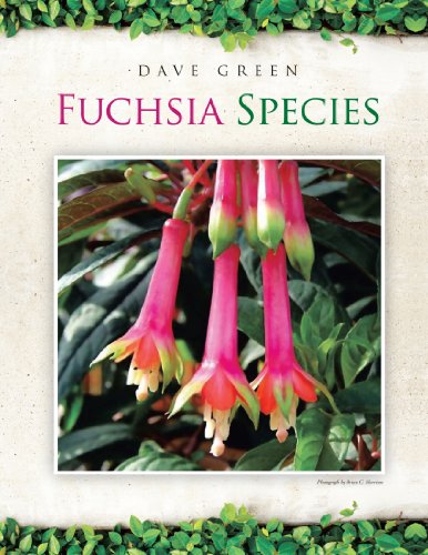 Fuchsia Species [Paperback]