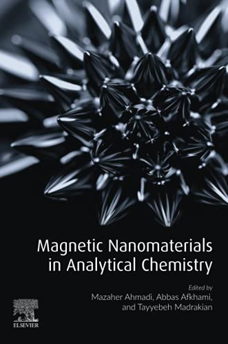 Magnetic Nanomaterials in Analytical Chemistry [Paperback]