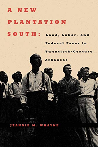 A New Plantation South Land, Labor, And Federal Favor In Twentieth-Century Arka [Paperback]
